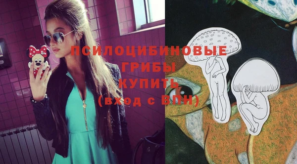 винт Алексеевка